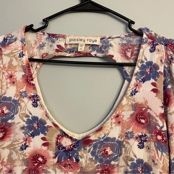 Paisley Raye pink and blue floral dress small - Picture 3 of 10